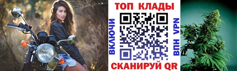 Какие есть наркотики Кингисепп Конопля  Мефедрон  kraken ССЫЛКА  ГАШИШ  БУТИРАТ 