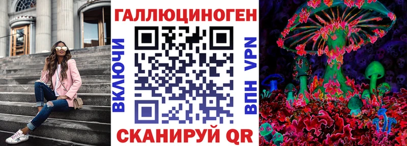 Псилоцибиновые грибы GOLDEN TEACHER  ссылка на мегу ссылки  Кингисепп  цены наркотик 
